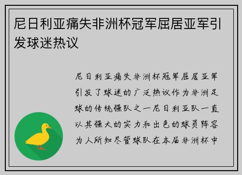 尼日利亚痛失非洲杯冠军屈居亚军引发球迷热议